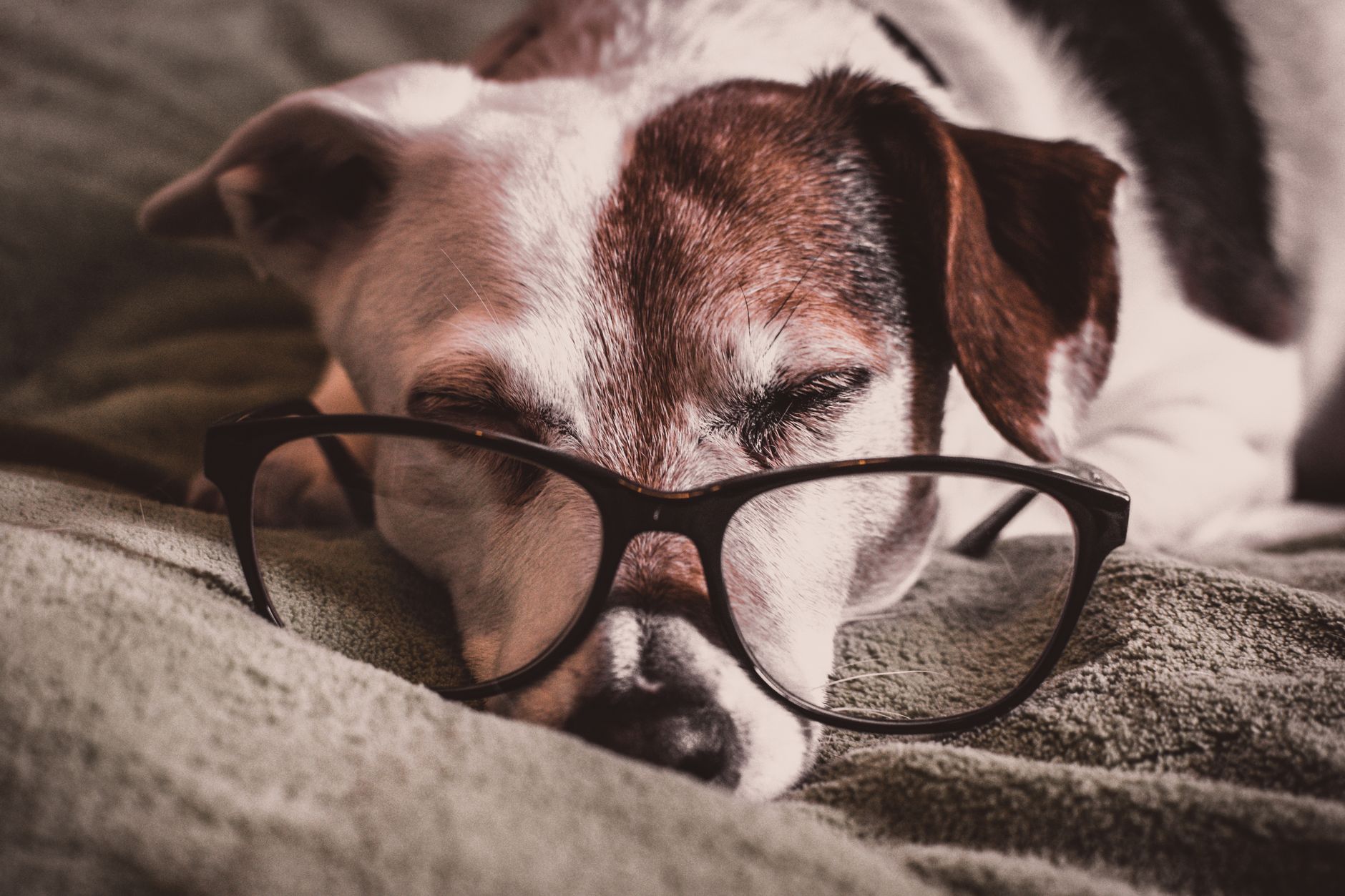 Best Glasses for Macular Degeneration - health article image
