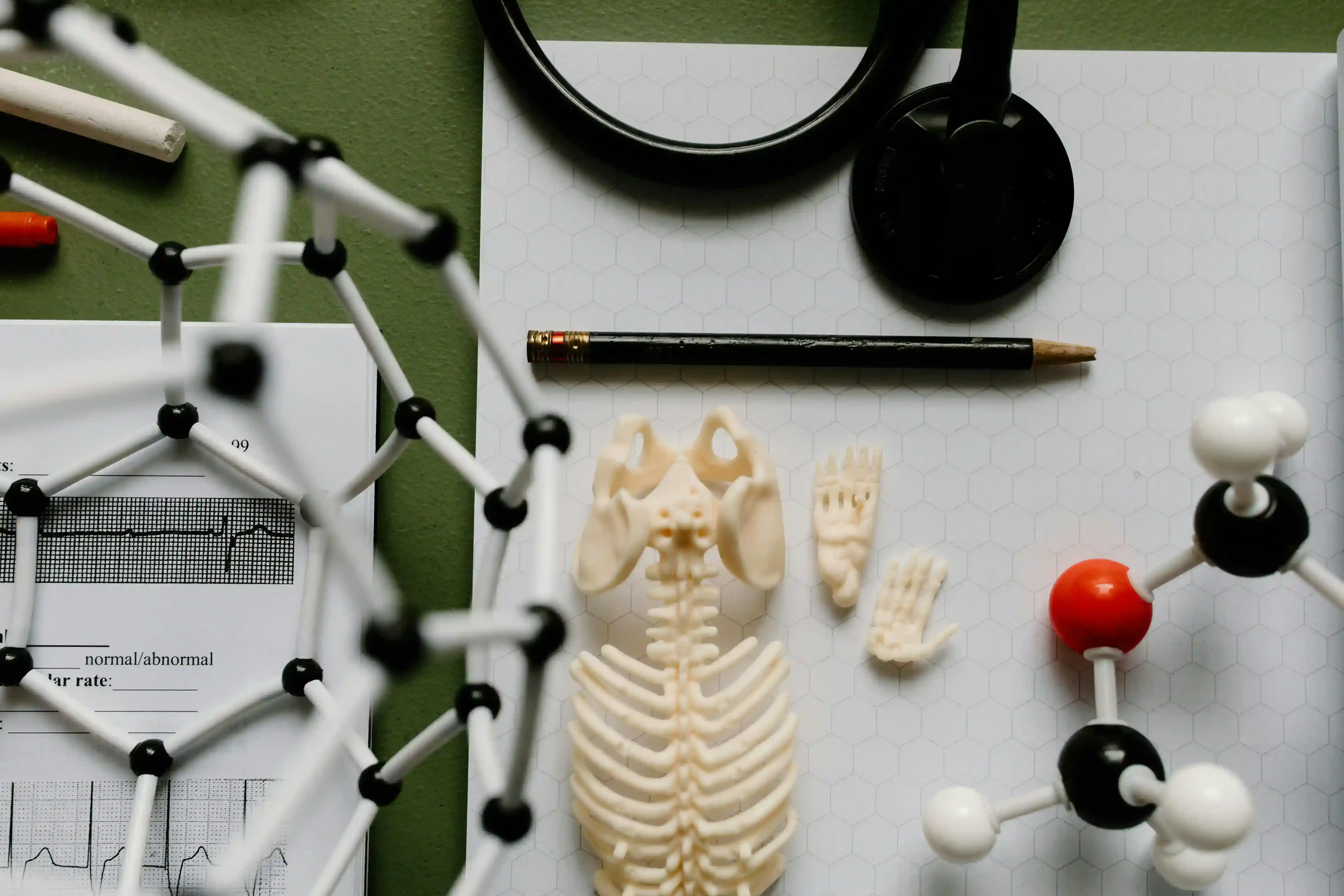 Osteoporosis: Protecting Your Bone Health