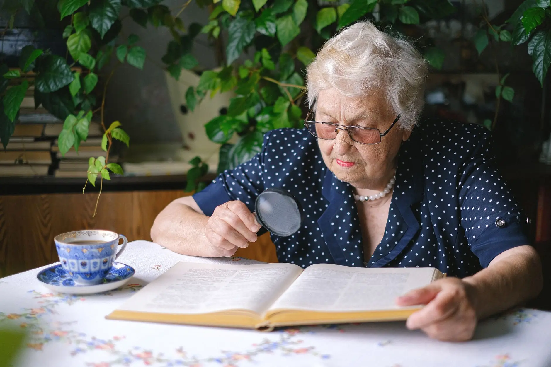 Best Magnifying Glasses for Seniors