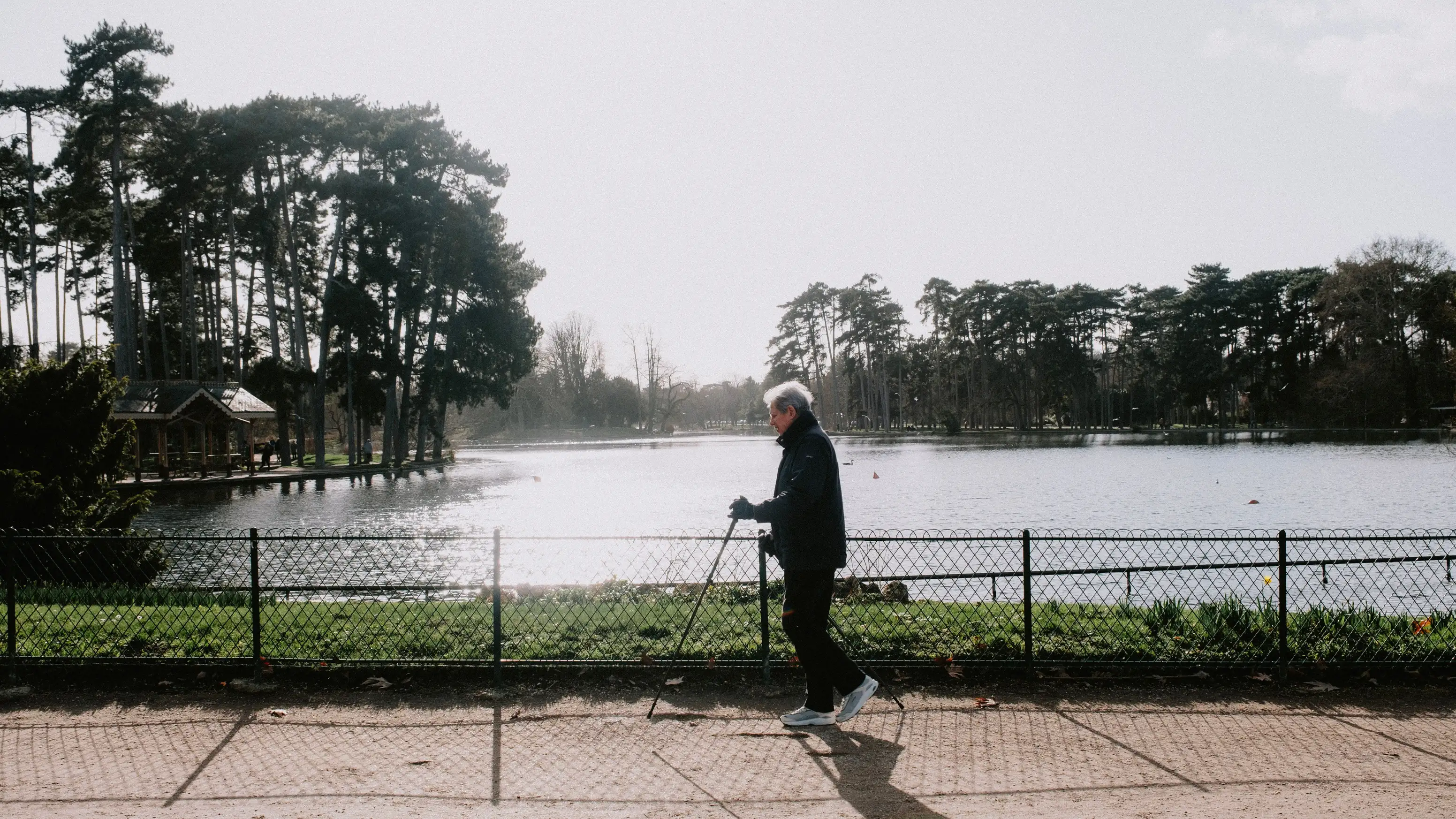 Is Walking Good for Knee Arthritis? (2026 Benefits, How to Walk Correctly)