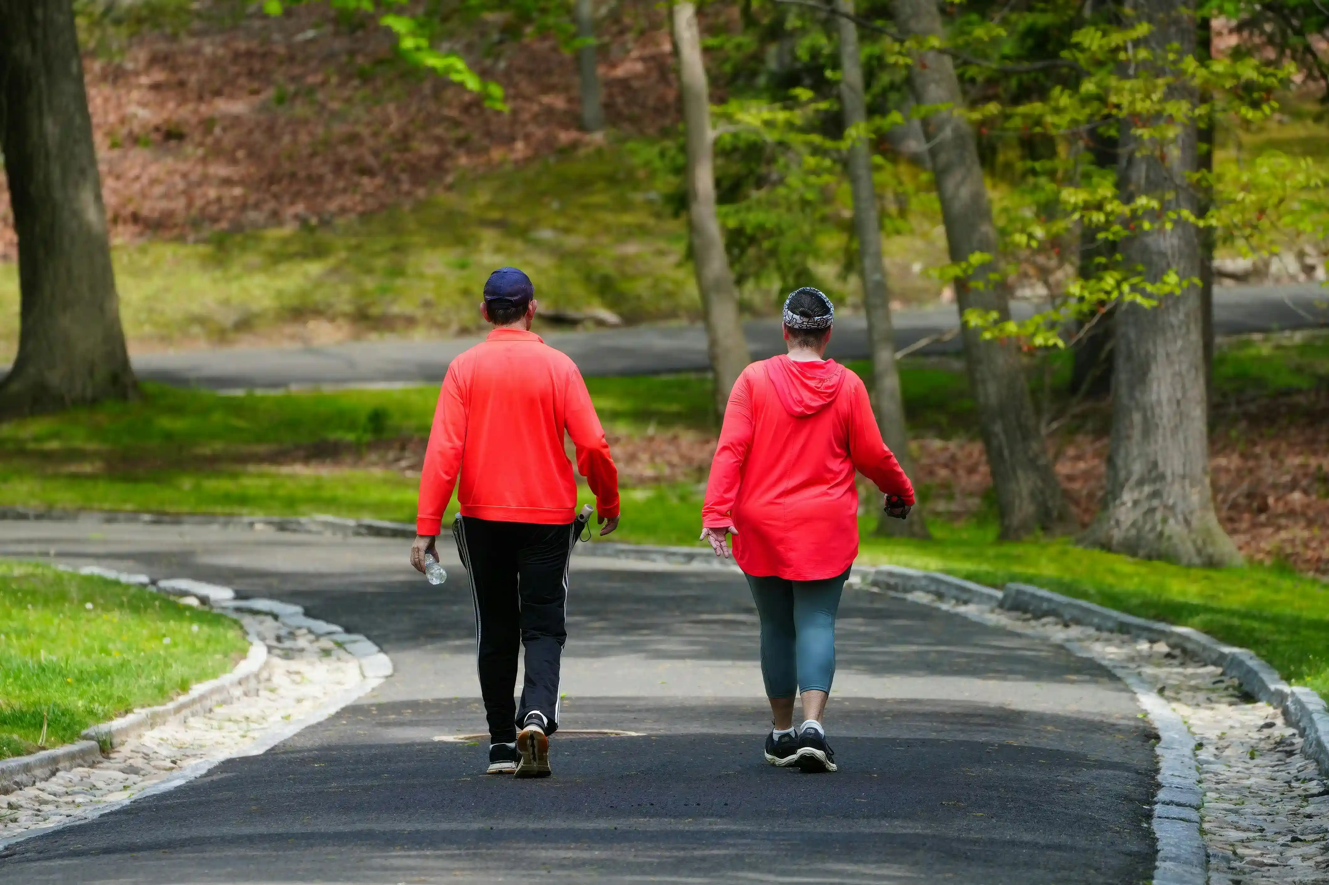 Walking and Brain Health: How Daily Walks Increase Hippocampus Volume thumbnail